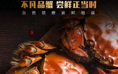 香芋樂(lè )園小程序開(kāi)發(fā)